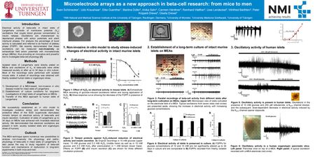Cell Homeostasis Virtual Lab Answer Key Analysis + mvphip ...