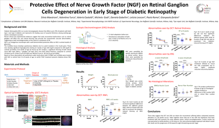 Gianpaolo Zerbini Virtual Meeting Easd