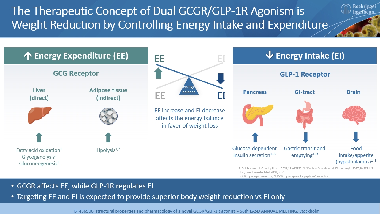 glp-1/gcgr dual agonist Media Centre