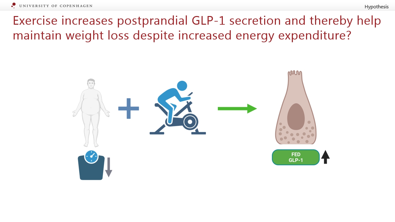 glp 1 and exercise Media Centre