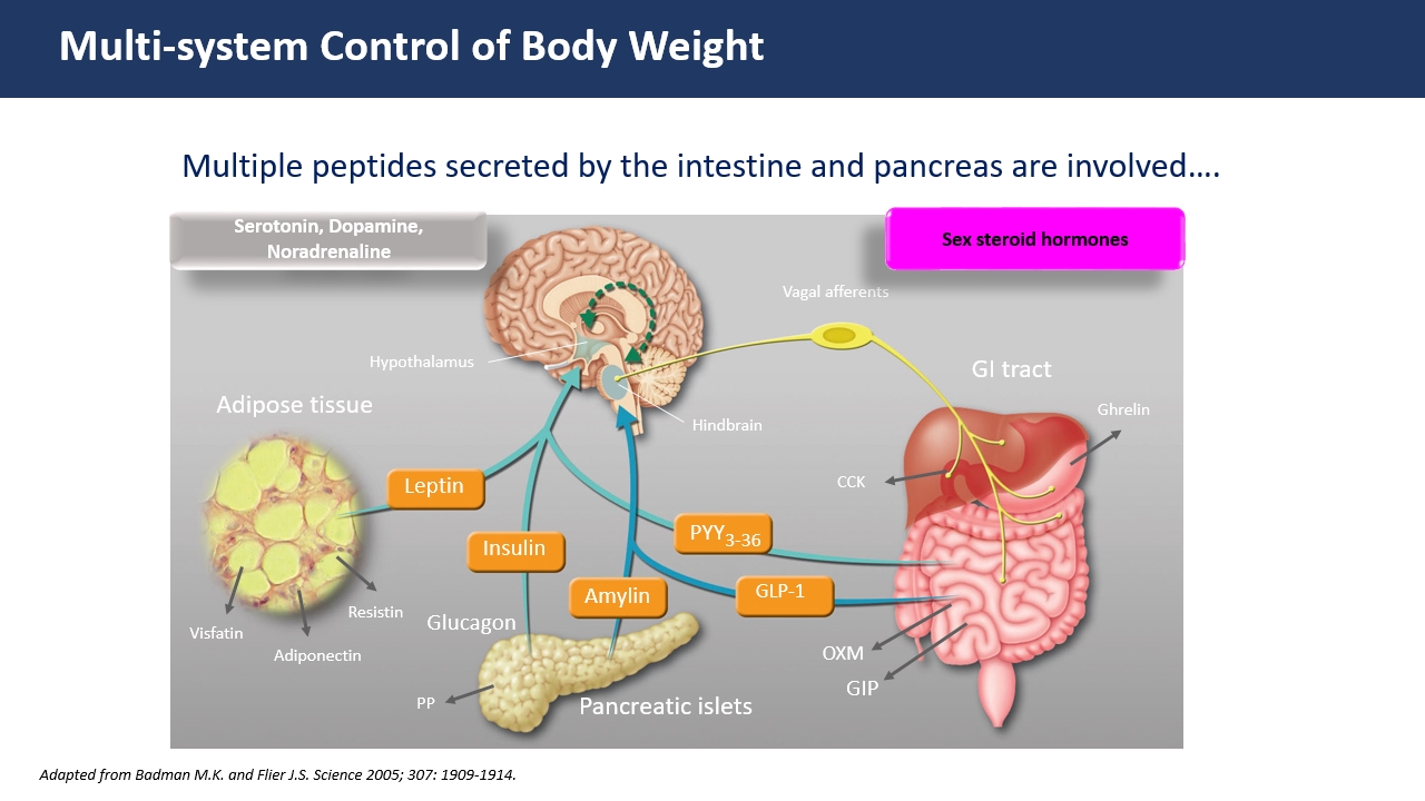smgt glp 1 patch Counterfeit weight loss products claiming to contain GLP-1