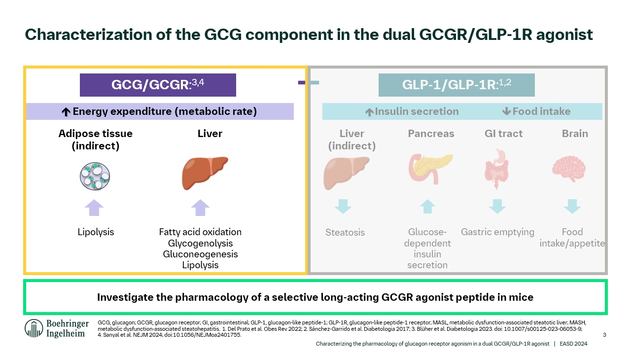 eli lilly glp 1 drug Lilly GLP Molecular Glue