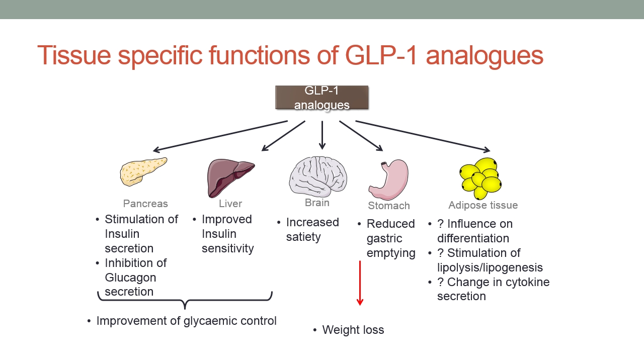 average monthly cost for glp 1 Cost effectiveness of GLP-1 s vs. bariatric surgery average monthly cost for glp 1 Cost effectiveness of GLP-1 s vs. bariatric surgery