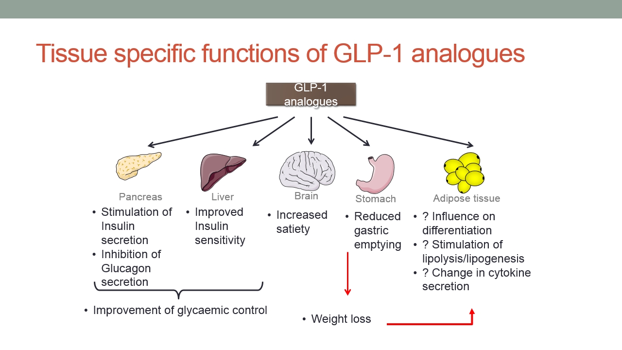 glp 1 mexican pharmacy Ozempic Is Cheaper In Mexico. Here's Why